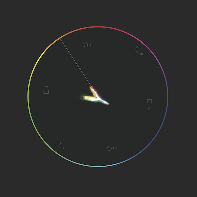 Vectorscope (Human Flesh Line) Vectorscope (Human Flesh Line)